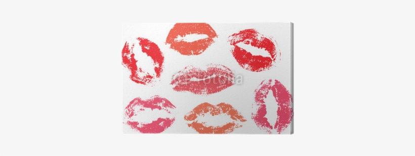Lip Prints As Forensic Evidence [book], transparent png download