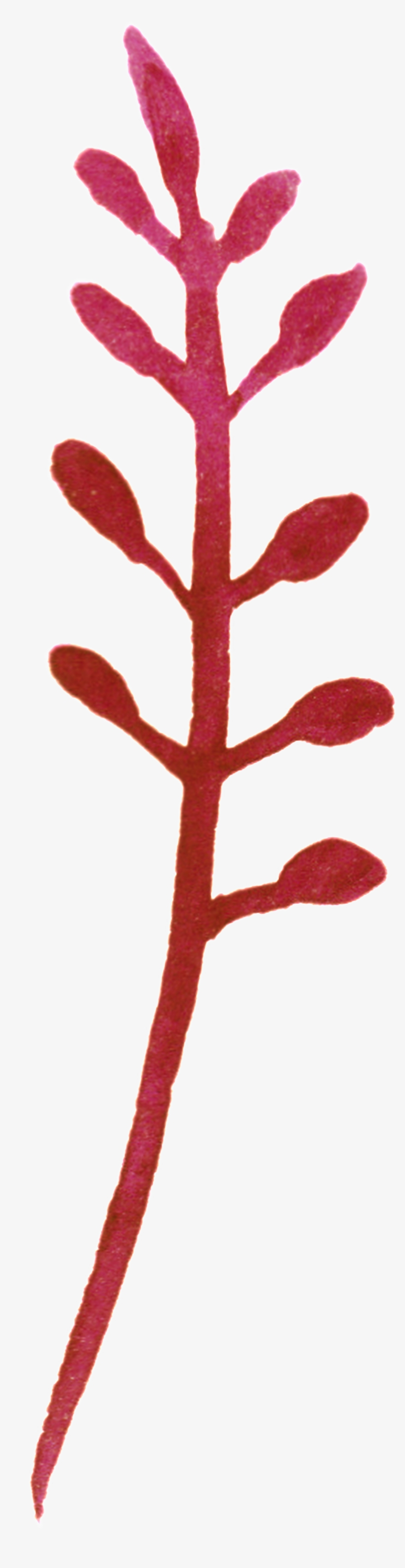 Red Plum Blossom Branch Transparent Decorative - Vector Graphics, transparent png download