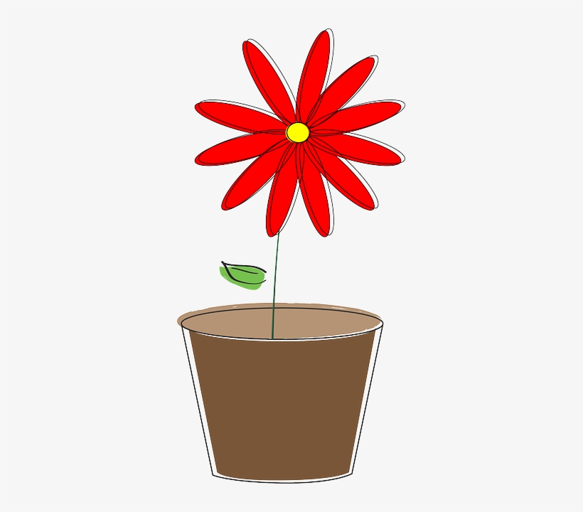 Potted Plant, Flower, Daisy, Spring, Bloom, Blossom - Prix Versailles 2016, transparent png download
