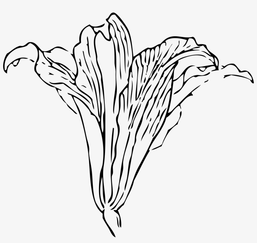Blossom Png, transparent png download