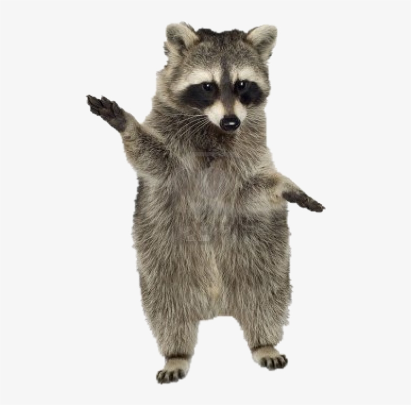 Rock & Learn Rock'n Learn - Dance, transparent png download