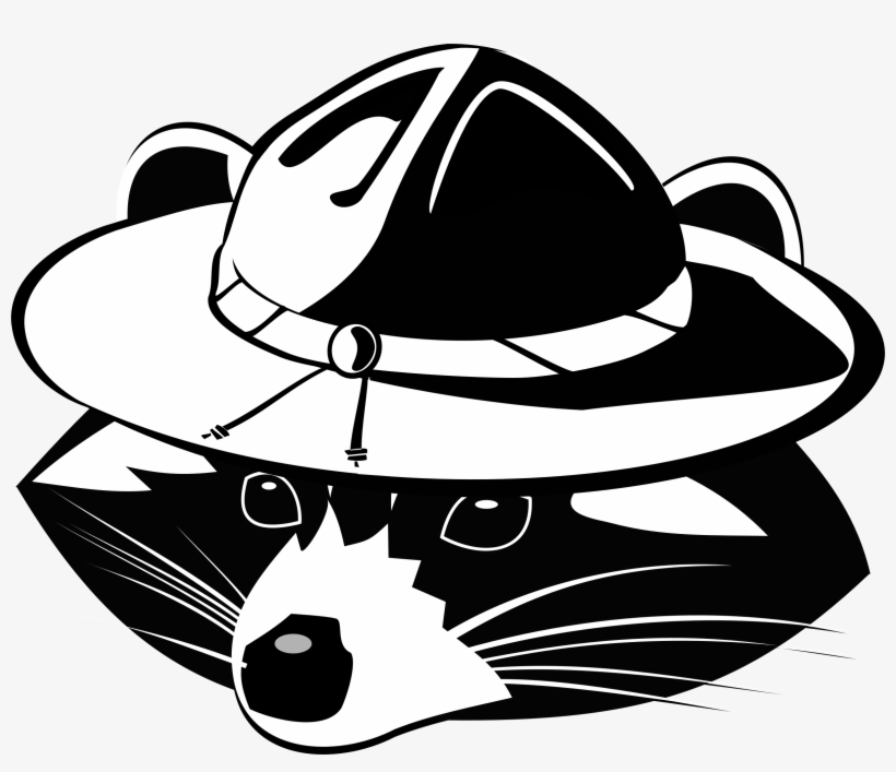 Big Image - Raccoon, transparent png download