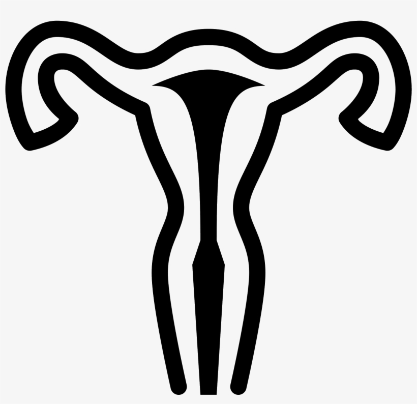 Uterus Icon Free Download Picture Library Library - Uterus, transparent png download