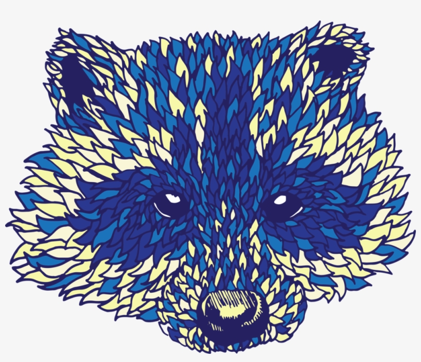 Racoon, transparent png download
