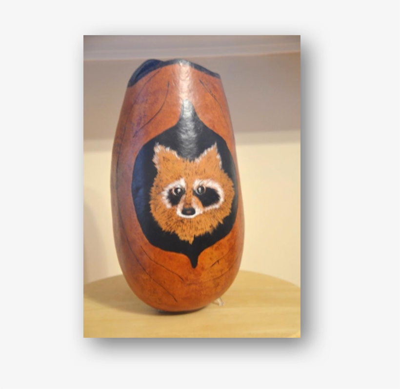 Raccoon, transparent png download