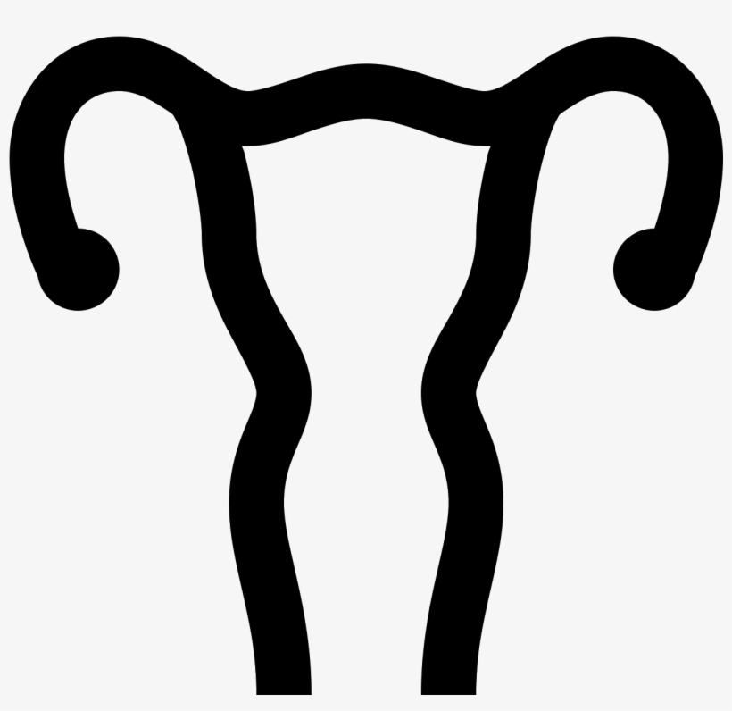 This Icon Represents The Uterus Of A Female Human, transparent png download