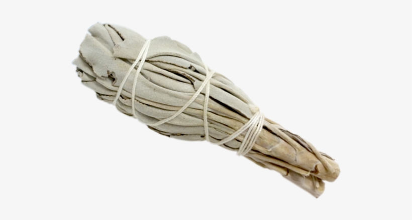 Torch Style Mini California White Sage 4" - Burning Sage Png, transparent png download