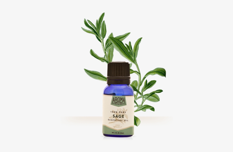 Post - Aroma Foundry Sage Essential Oil - 15 Ml - 100% Pure, transparent png download