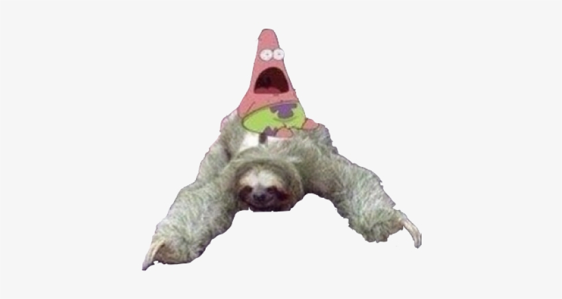 Transparent Sloth, transparent png download