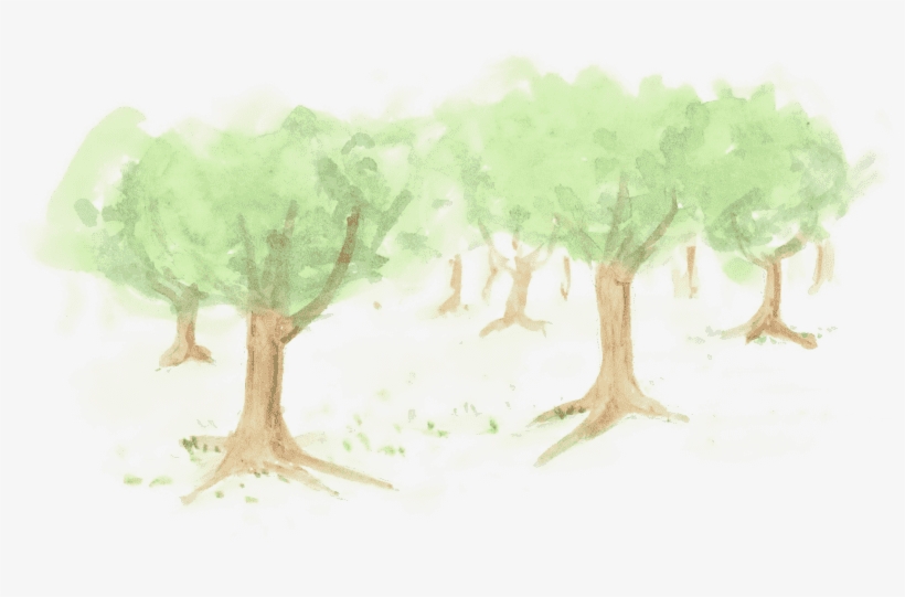 Bear Finds A Voice - Bear, transparent png download