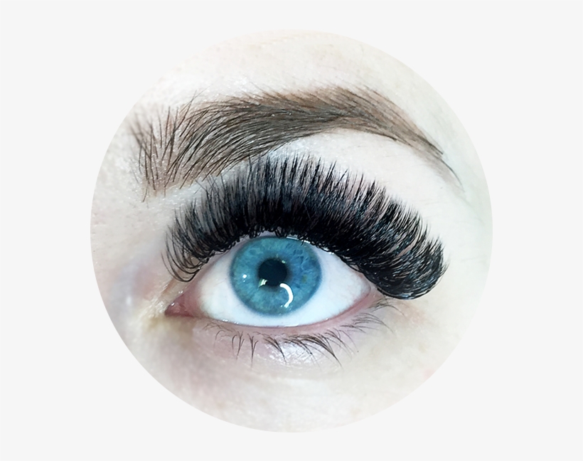 Mega Vol - Jpeg, transparent png download