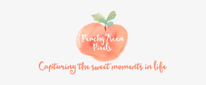 Image Result For Peachy Keen Logos - Photography, transparent png download