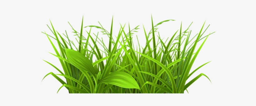 19 Weeds Banner Freeuse Library Huge Freebie Download - Clipart Grass, transparent png download