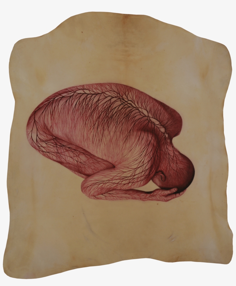 Watercolor On Parchment 110 X 130 Cm - Sketch, transparent png download