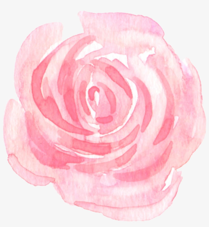 24, transparent png download