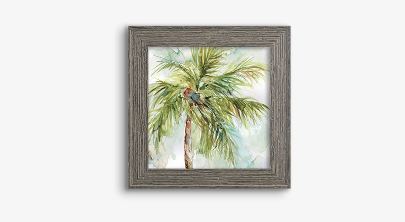 Coconut Palm - Palm Trees, transparent png download