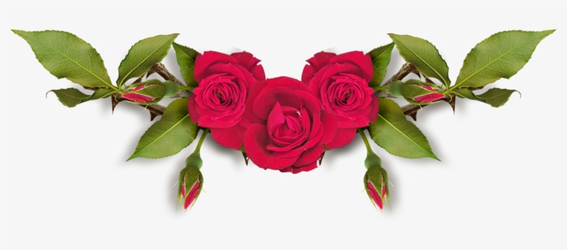 Red Roses, Scrap, Clip Art, Image Search, Picture Frames, - Цветы Png На Прозрачном Фоне, transparent png download