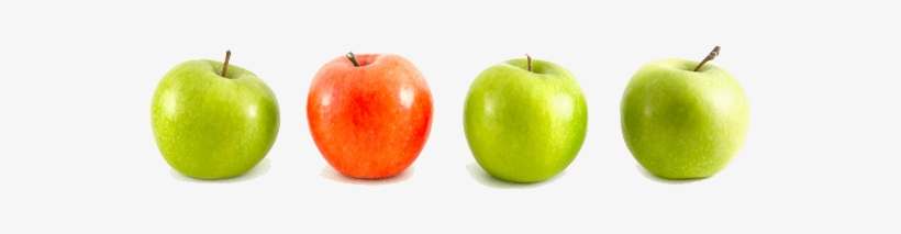 Apples Fruit Png Picture - Granny Smith, transparent png download