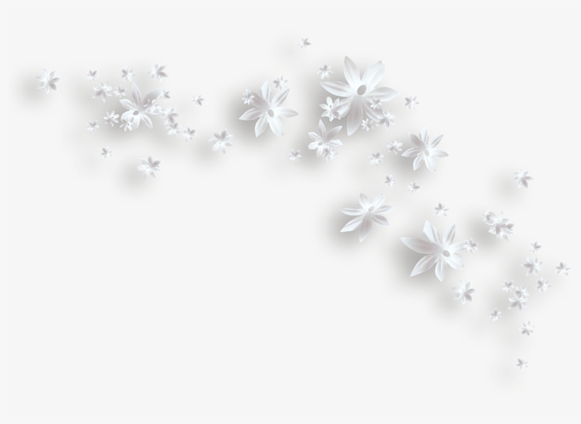 White Flowers Decorative Png Clipart - Clip Art, transparent png download