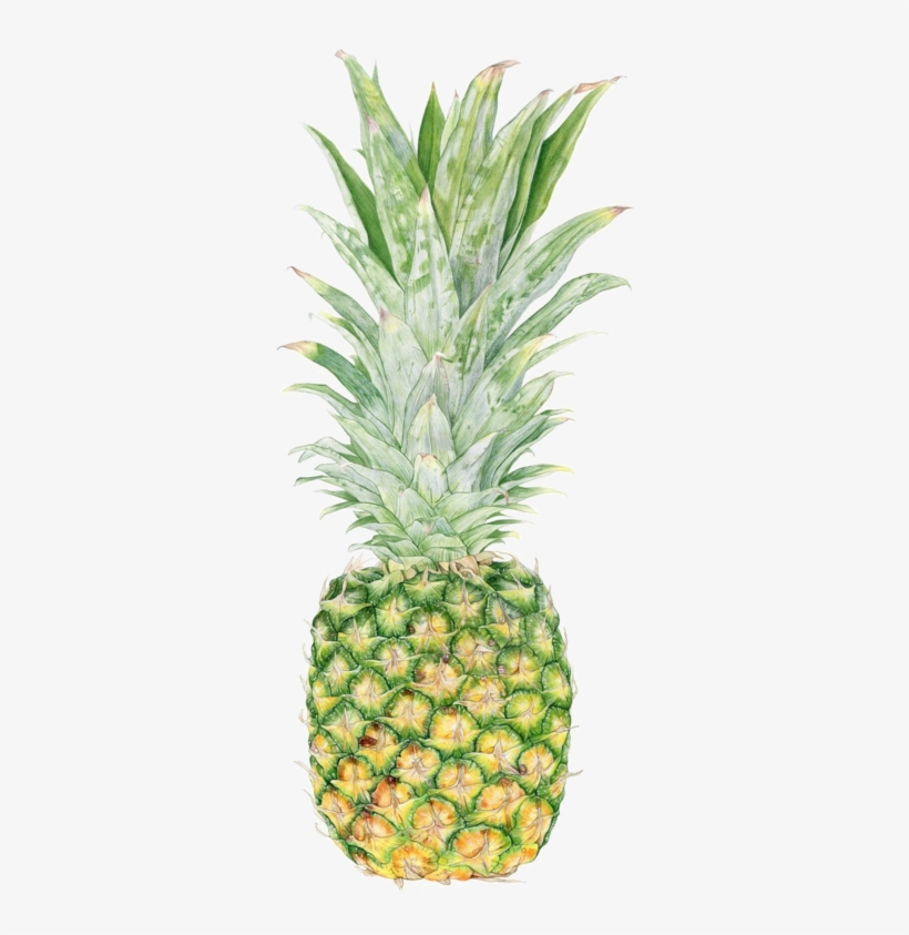 Fruits,tubes - Pineapple A Day Quotes, transparent png download