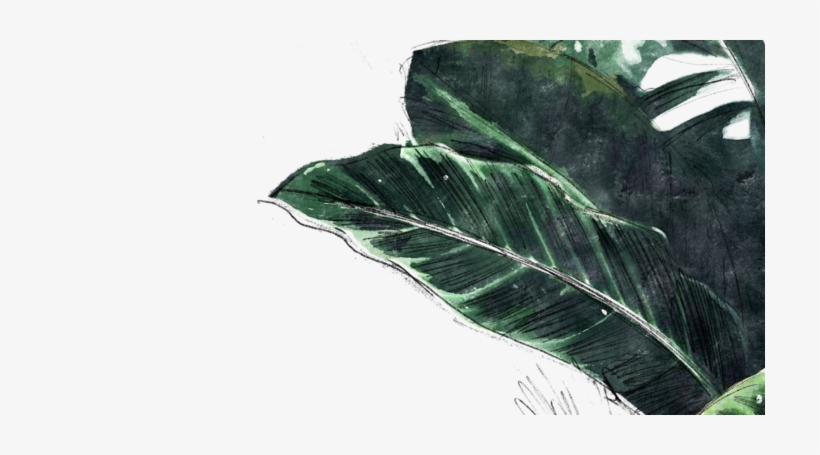 14we 1 E1516415484292 - Sketch, transparent png download