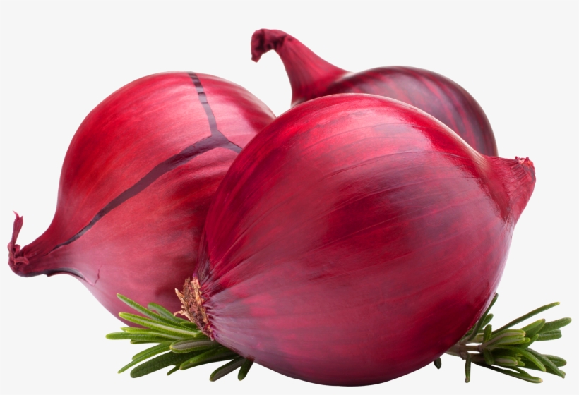 Onion Png Image - Onion Export Banners, transparent png download