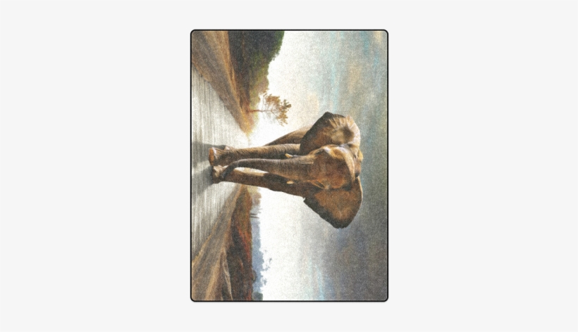 The Elephant Blanket 58"x80" - Cafepress The Elephant 5'x7'area Rug, transparent png download