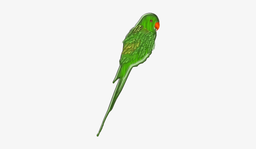 Original Png Clip Art File Parrot Svg Images Downloading, transparent png download