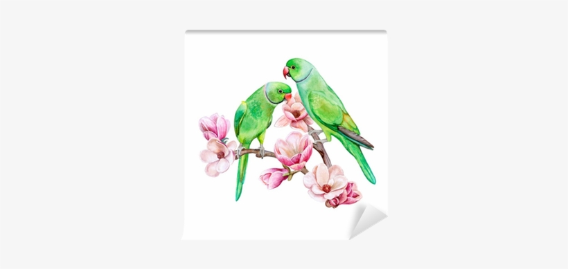 Green Parrots Sitting On A Flowering Branch Of A Magnolia - Rose-ringed Parakeet, transparent png download