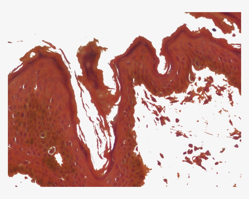 120 × 90 - Illustration, transparent png download