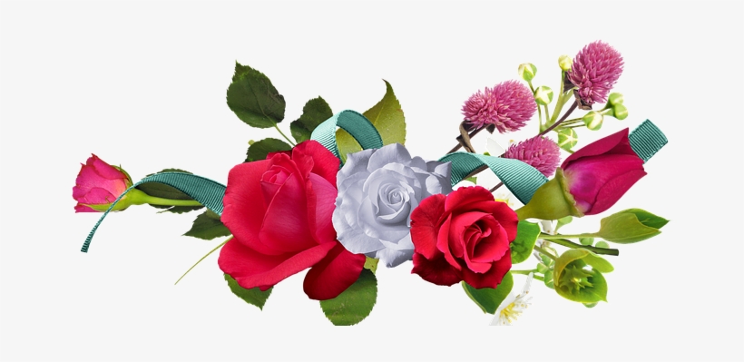 Rose Flowers Red Rose Romantic Rose Rose R - Happy Ambedkar Jayanti 2018, transparent png download