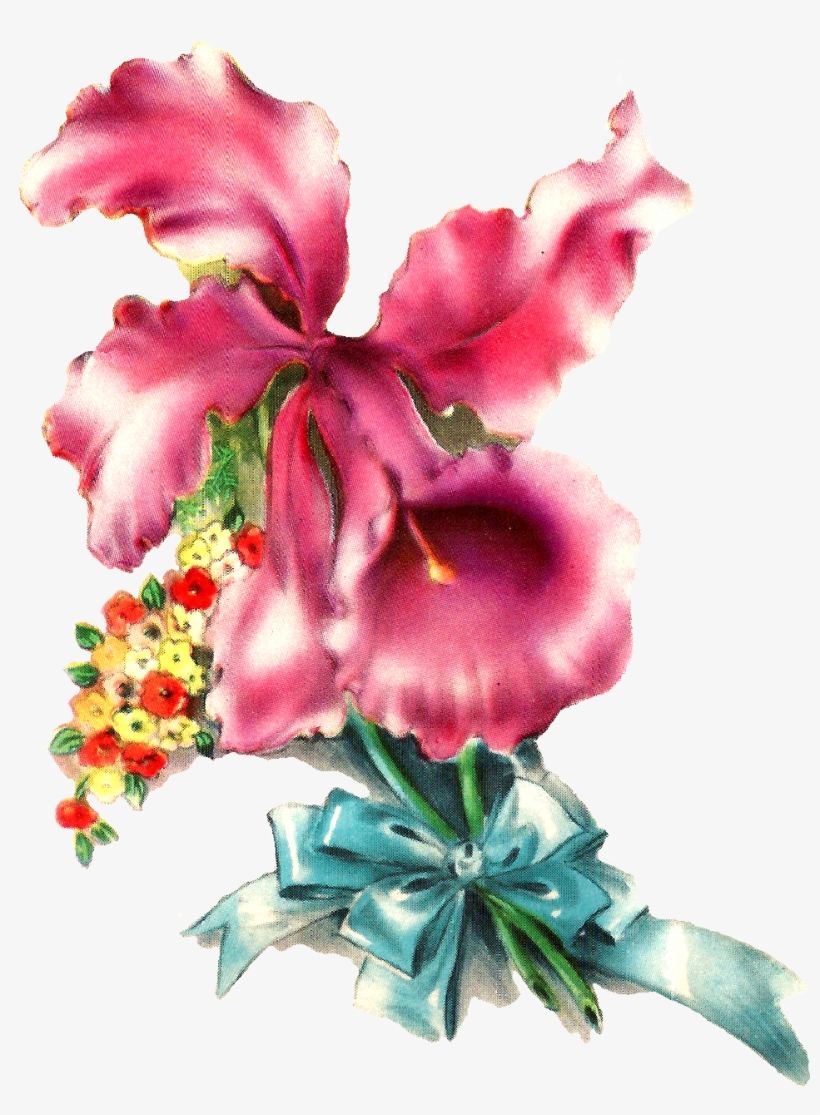 Birthday Cards For Friends, transparent png download