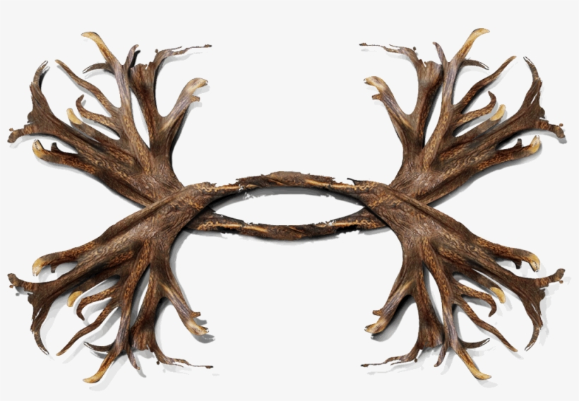 Under Armour Brothers Company - Under Armour Deer Antler Logo, transparent png download