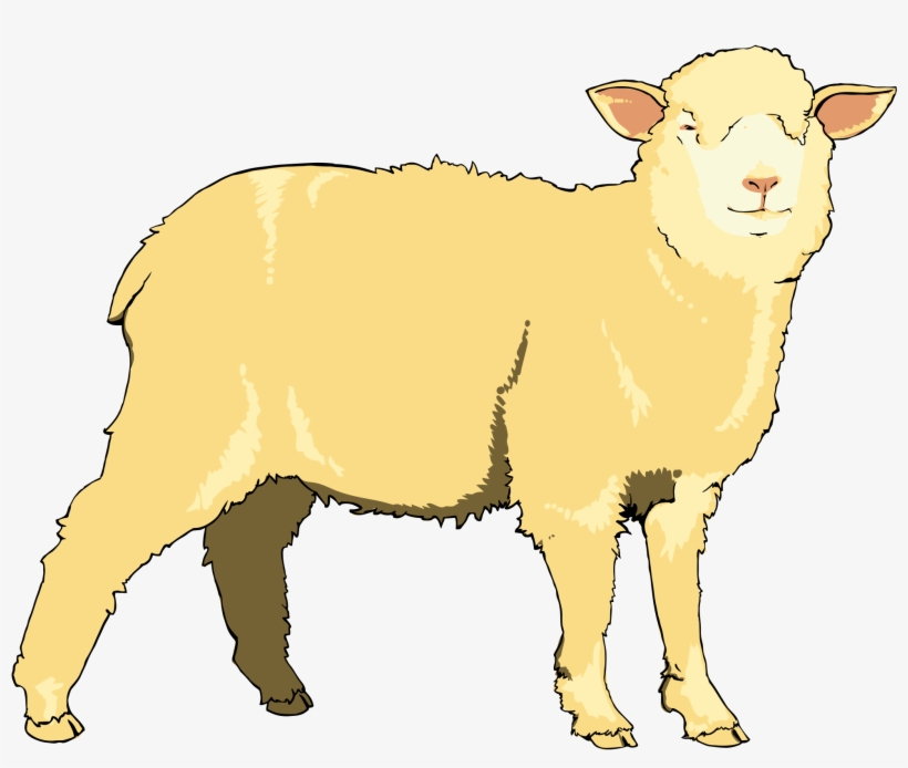 Lamb Clipart Goat - Sheep, transparent png download