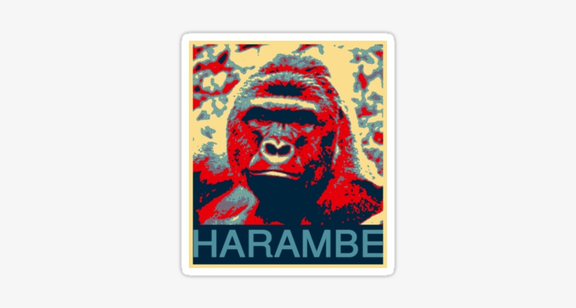 Harambe - Gorilla, transparent png download