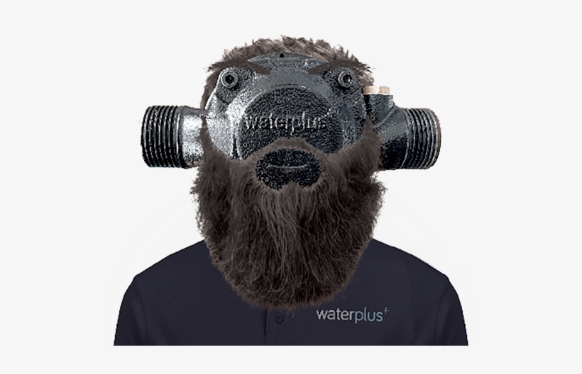 With Over 100 Years Of Combined Experience Shared Between - Stuffed Toy, transparent png download