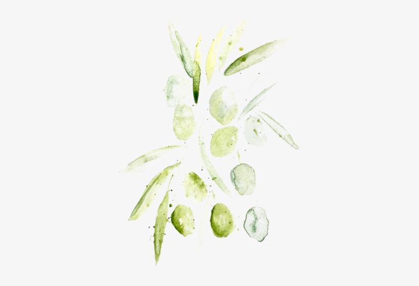 And To The Palette, A Light And Bitter Spiciness Must - Sea Lettuce, transparent png download