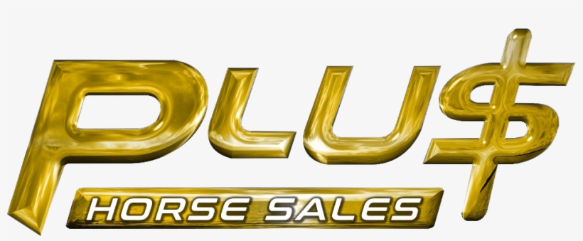 Horse, transparent png download