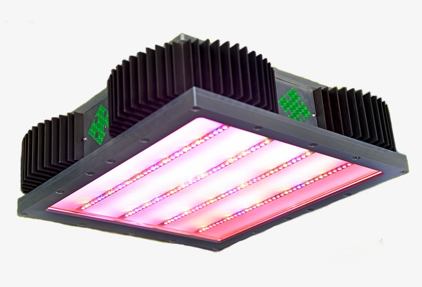 T - Eyelash Extensions, transparent png download