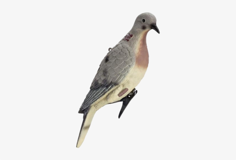 Lucky Duck Clip On Dove Decoys - Dove Decoy, transparent png download