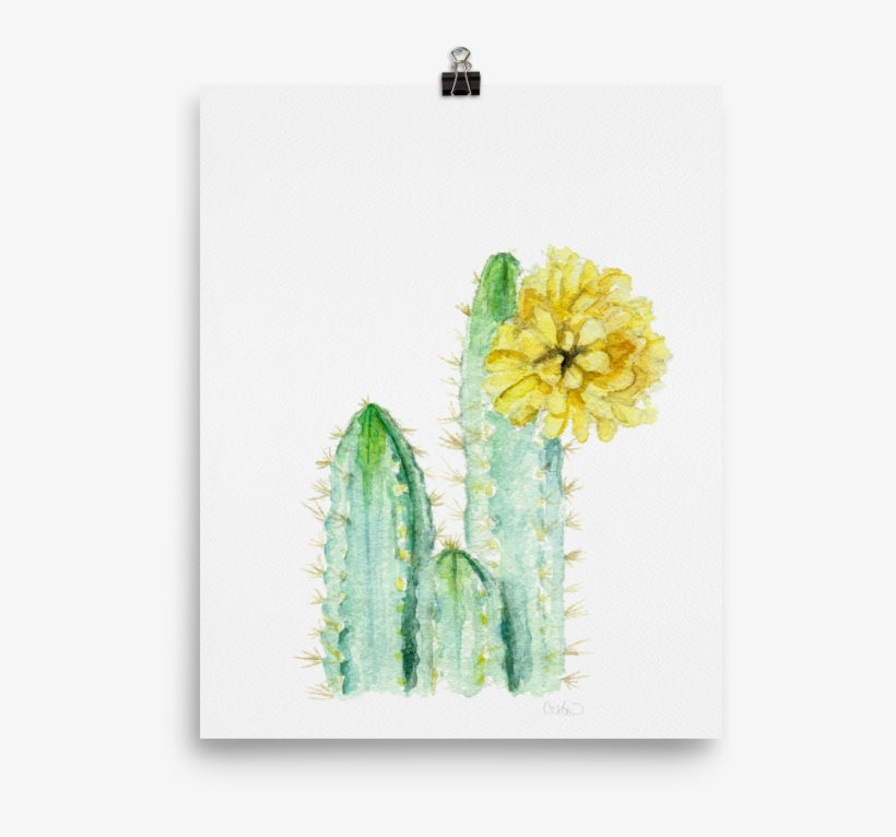 The Fancy Friend - Hedgehog Cactus, transparent png download