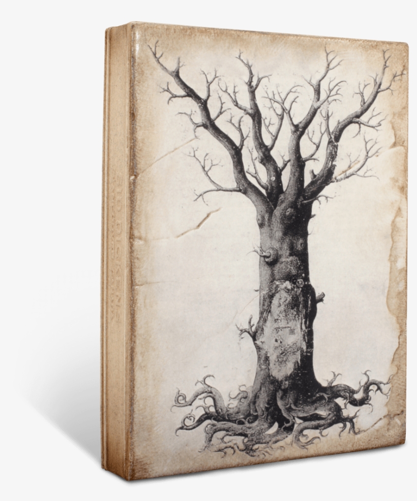 Medieval Tree Of Life - John Zorn Transmigration Of The Magus, transparent png download