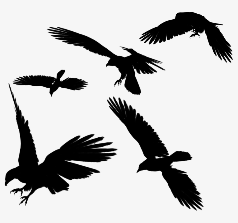 Raven Flying Png Photos - Vetor Aguia, transparent png download