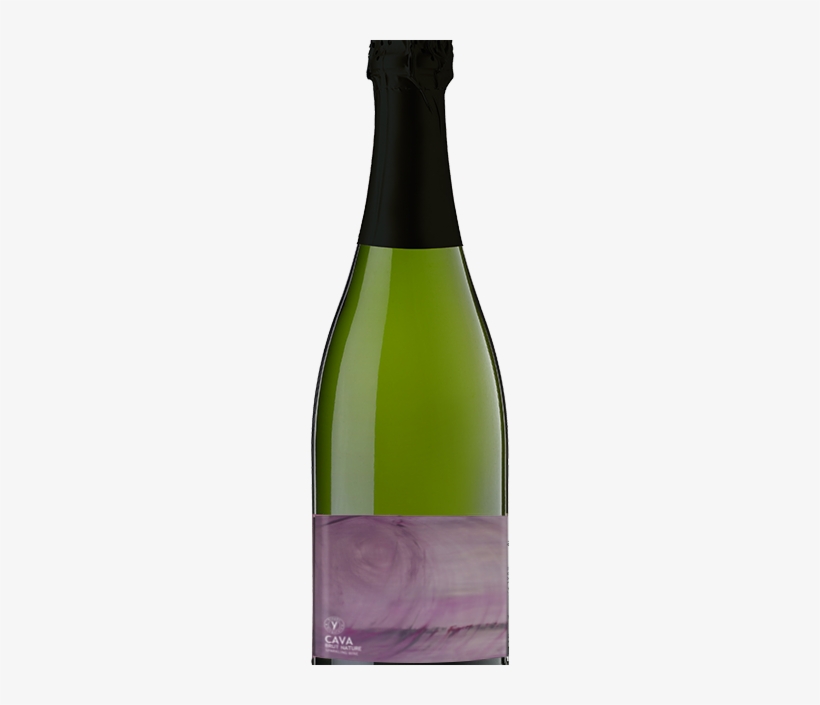 Vinyes Singulars Cava Brut Nature Nv - Vase, transparent png download
