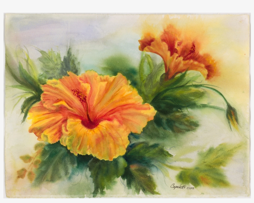 Yellow Hibiscus - Watercolor Painting, transparent png download