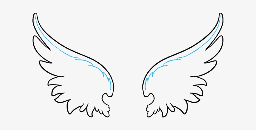 15 A Wing Png For Free Download On Mbtskoudsalg - Drawing, transparent png download