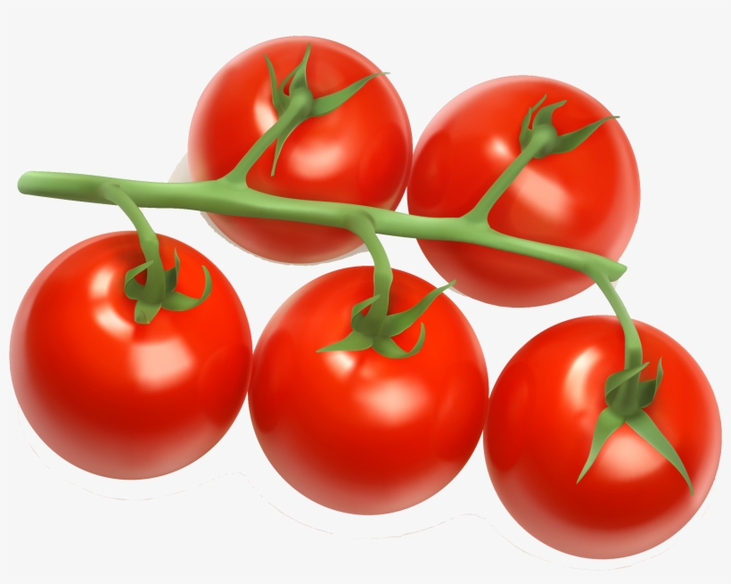 Fruits Clipart Bush - Cherry Tomato Clip Art, transparent png download