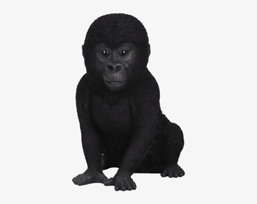 Free Png Gorilla Png Png Images Transparent - Animals Baby In Real Life, transparent png download