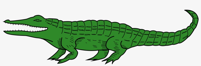 Alligator Animal Crocodile Reptile Alligat - Caimanes Dibujo, transparent png download