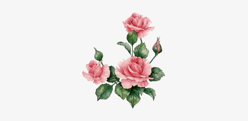 Febrero 2016 Watercolor Flowers, Watercolor Art, Decoupage - Hummingbird And Roses Counted Cross Stitch Pattern, transparent png download